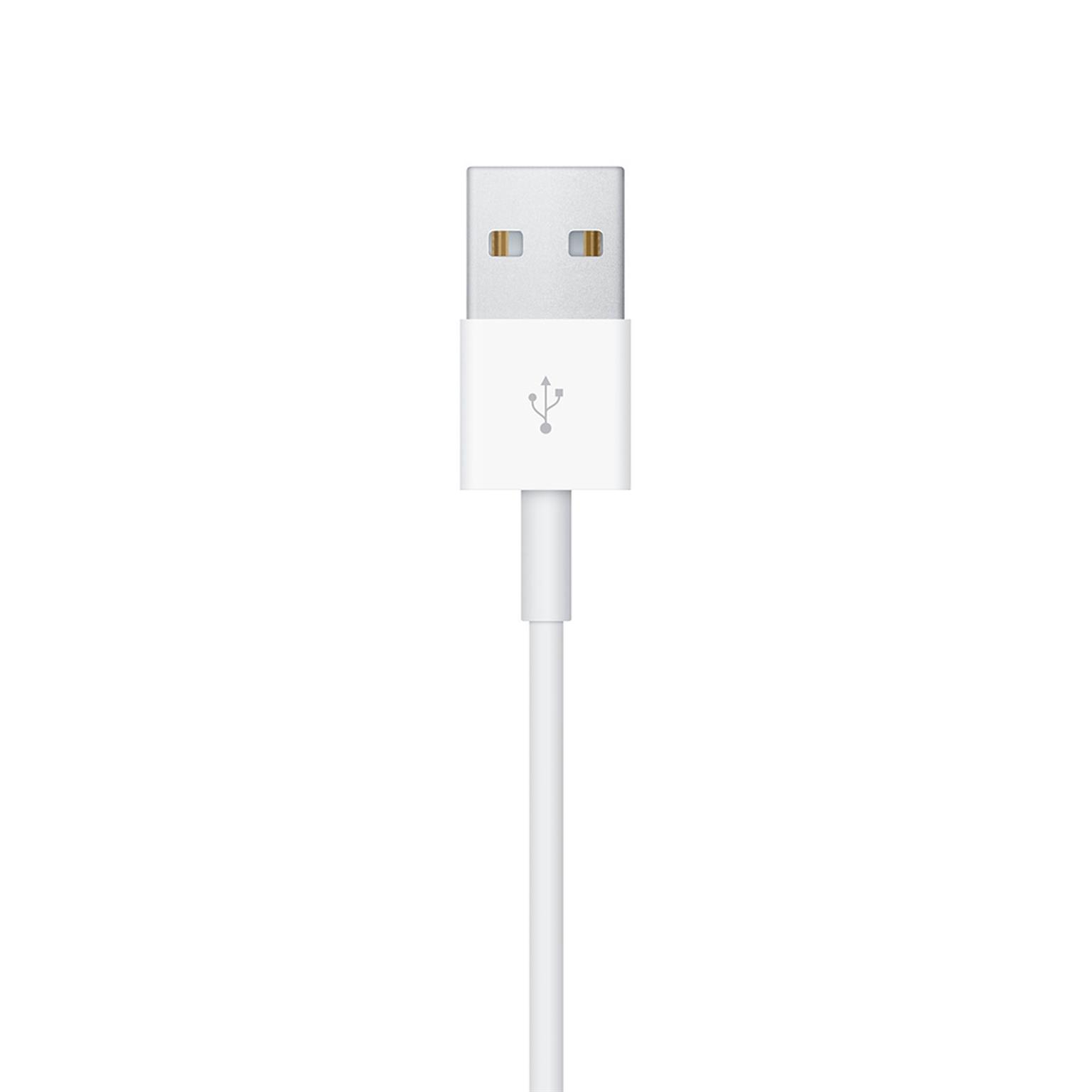 Apple magnetisches Ladekabel – kompatibel mit allen Apple Watch Serien, zum Anschluss an USB-A Ladegeräte, 0,3 m – Weiteres Produktbild 3