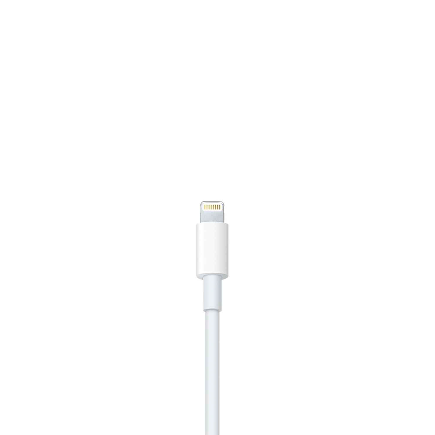 Apple SD Karten Adapter – Lightning Adapter für iPhone 5 - 14 und iPad Modelle, Kartenlesegerät für SD-Karten – Weiteres Produktbild 3 Apple SD Karten Adapter – Lightning Adapter für iPhone 5 - 14 und iPad Modelle, Kartenlesegerät für SD-Karten – Weiteres Produktbild 3