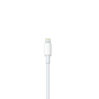 Apple Lightning auf USB 3 Kamera-Adapter – iPad Pro Foto-Transfer-Adapter Kamera-Import mit USB 3 Kompatibilität – Weiteres Produktbild 3
