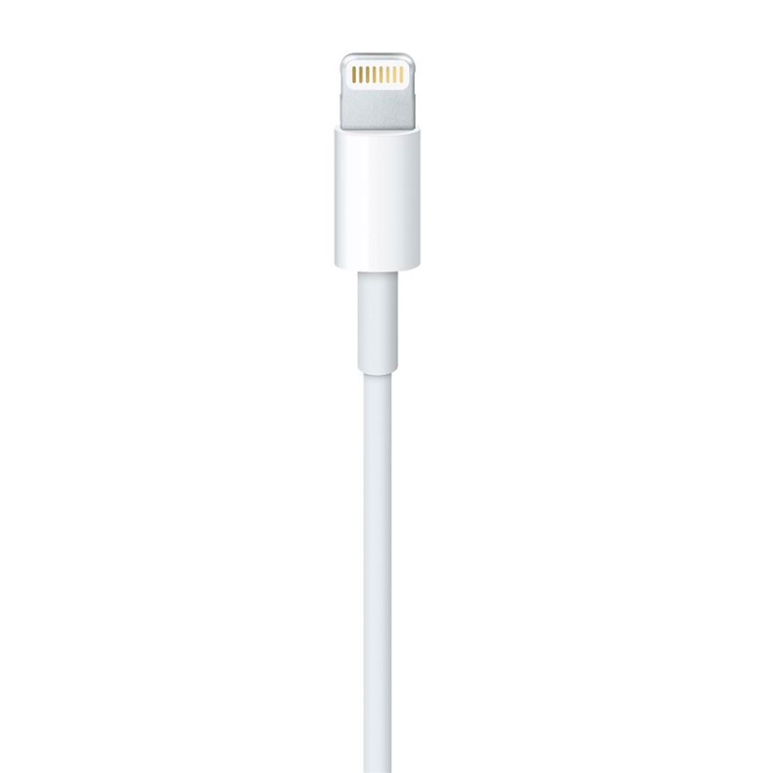 Apple Ladekabel – USB-A auf Lightning für iPhone 5 - 14 und iPad Modelle, Schnelle Datenübertragung, Länge 0,5 m – Weiteres Produktbild 3 Apple Ladekabel – USB-A auf Lightning für iPhone 5 - 14 und iPad Modelle, Schnelle Datenübertragung, Länge 0,5 m – Weiteres Produktbild 3