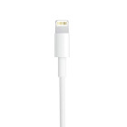 Apple Ladekabel – USB-A auf Lightning für iPhone 5 - 14 und iPad Modelle, Schnelle Datenübertragung, Länge 1,0 m – Weiteres Produktbild 2
