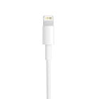 Apple Ladekabel – USB-A auf Lightning für iPhone 5 - 14 und iPad Modelle, Schnelle Datenübertragung, Länge 1,0 m – Weiteres Produktbild 2