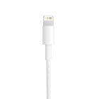 Apple Ladekabel – USB-A auf Lightning für iPhone 5 - 14 und iPad Modelle, Schnelle Datenübertragung, Länge 2,0 m – Produktbild 2