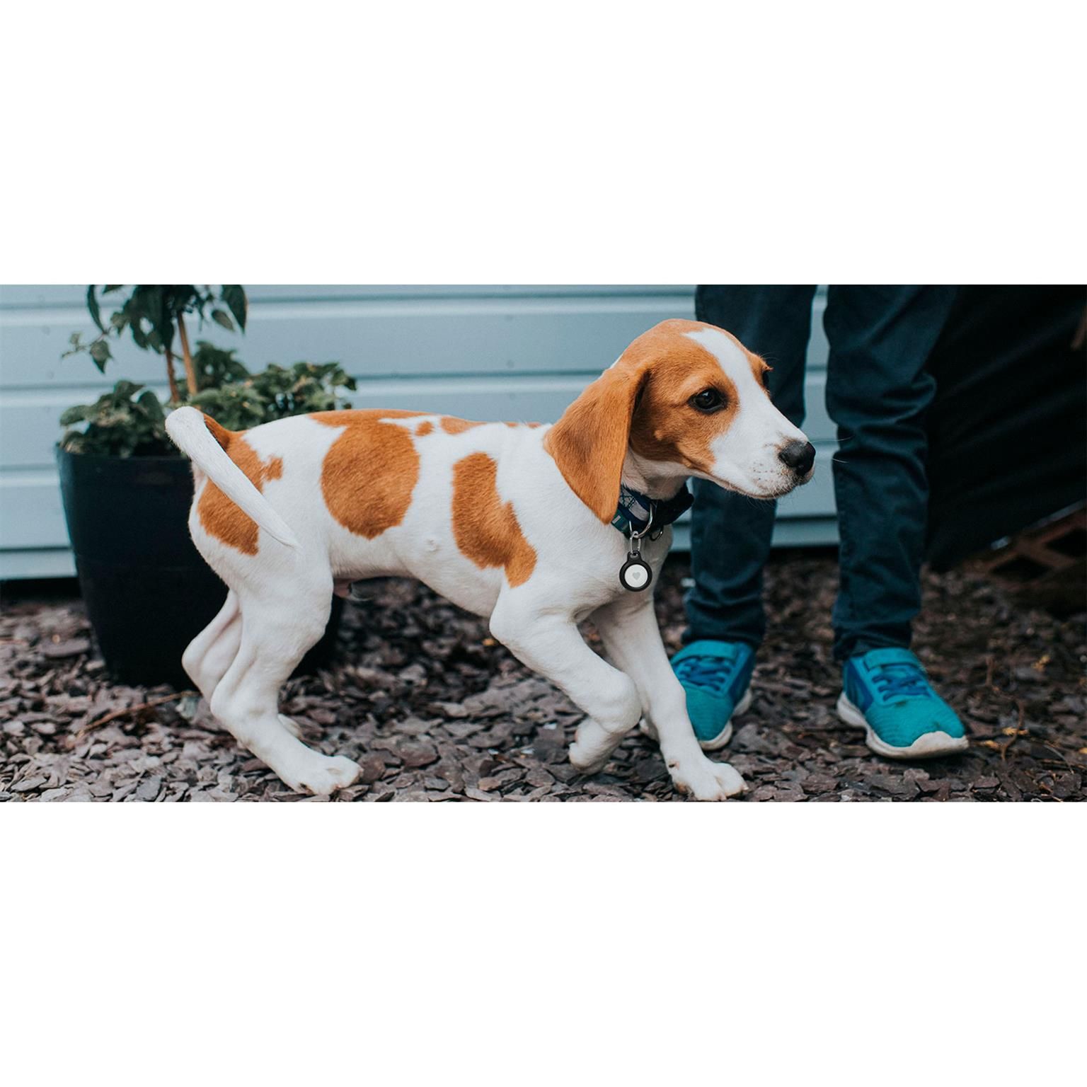 Belkin AirTag-Hülle – Airtag Schlüsselringhalterung, sichere Befestigung für den Alltag – Weiteres Produktbild 6 Belkin AirTag-Hülle – Airtag Schlüsselringhalterung, sichere Befestigung für den Alltag – Weiteres Produktbild 6