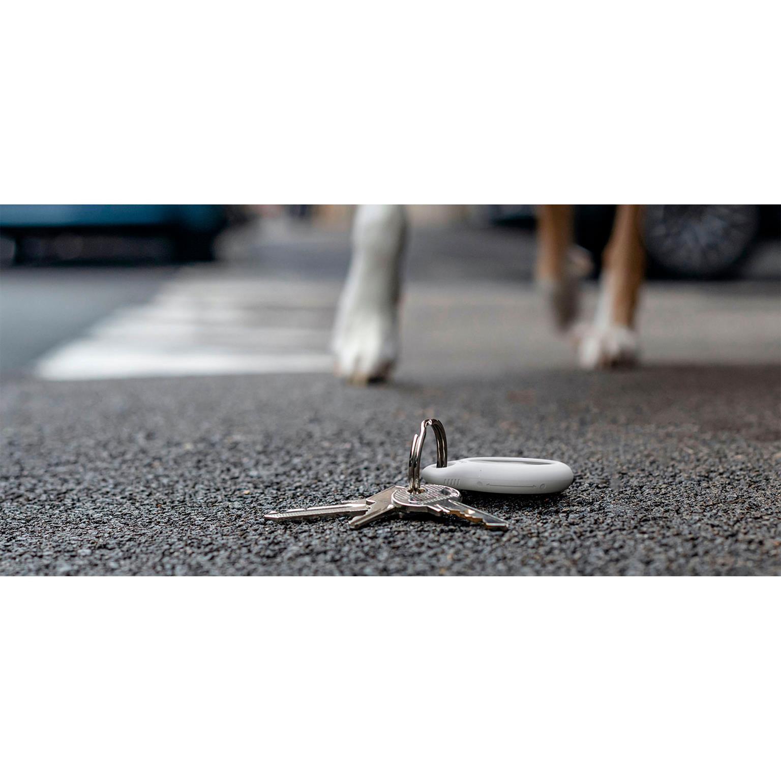 Belkin AirTag-Hülle – Airtag Schlüsselringhalterung, sichere Befestigung für den Alltag – Weiteres Produktbild 5 Belkin AirTag-Hülle – Airtag Schlüsselringhalterung, sichere Befestigung für den Alltag – Weiteres Produktbild 5