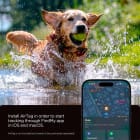 Spigen Tough Armor Pet Collar AirTag Hülle – AirTag Halter für Tierhalsband, AirTag Halterung für Haustiere – Produktbild 4